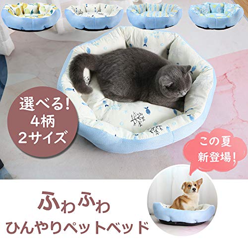 貝殻/45L x 40W x 14H cm/- ・Pattern Name:貝殻柄Size:45L x 40W x 14H cm ・パッケージ個数:1 ・ 本製品は倉庫より・安全。初期不良対応をします